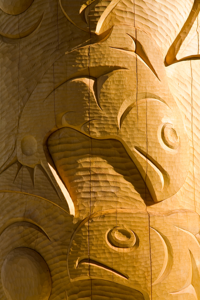 Close up of yellow cedar (Chamaecyparis nootkatensis) log which has been carved by First Nations artist to form a totem pole