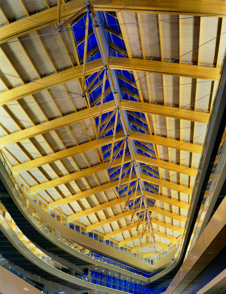 Skyward view of exposed wood roof structure