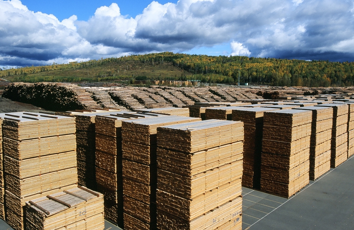 Aerial view of BC lumbar yard with bundles of processed lumbar in the foreground and raw logs in the background