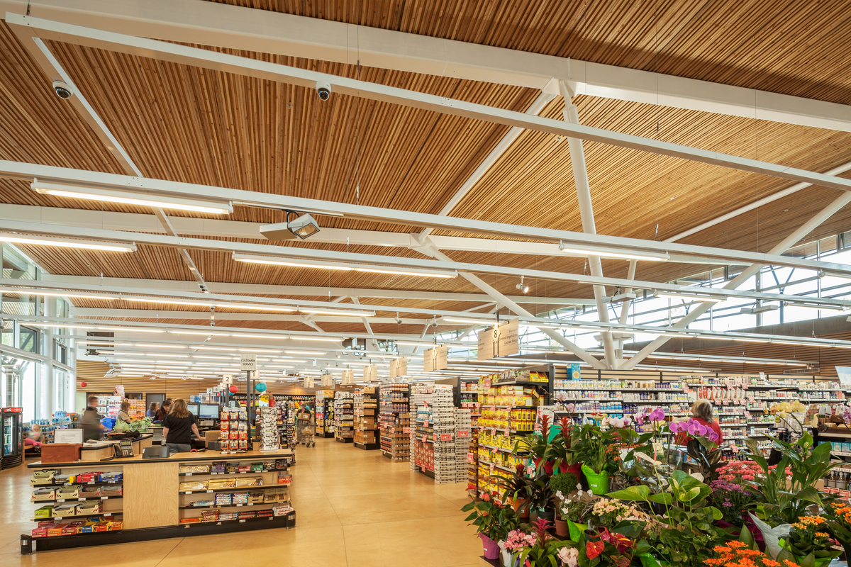 Upward interior daytime view of Askews Uptown Market featuring 3,000-square-metre floating nail-laminated timber (NLT) roof structure and hybrid steel truss work