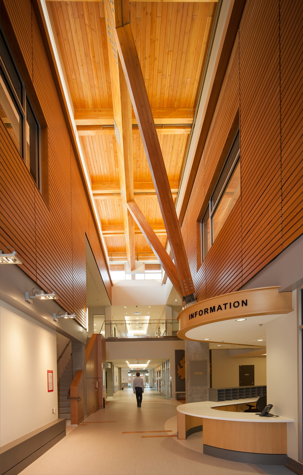Interior upward daytime view of low rise BC Cancer Agency Centre for the North featuring ceiling of glue-laminated (glulam) timber, solid-sawn heavy timber, wood paneling and wood accents