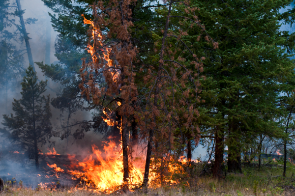 Summer wildfire at Alkali Lake, along Dog Creek Rd, in the Cariboo region of interior British Columbia.
