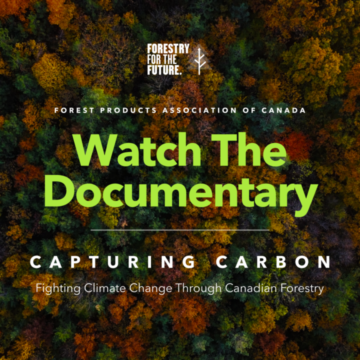 Capturing Carbon Social Graphic EN