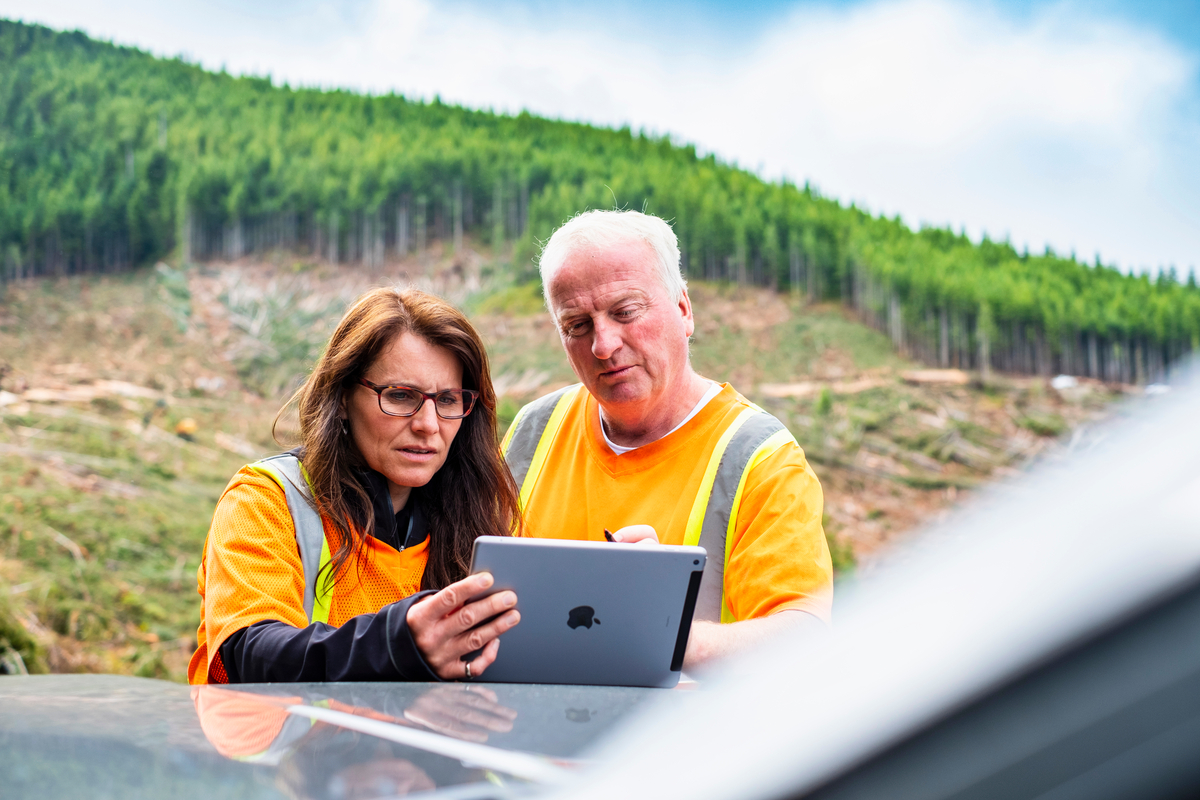 Two forest engineers wearing bright PPE consulting over a smart tablet with a partially harvested forest in background