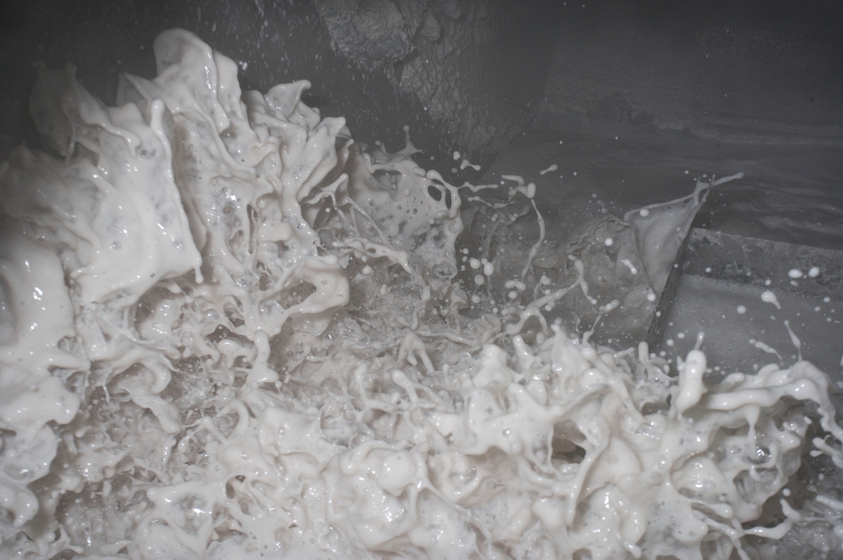 Close up of wood pulp being separated using a mechanical process