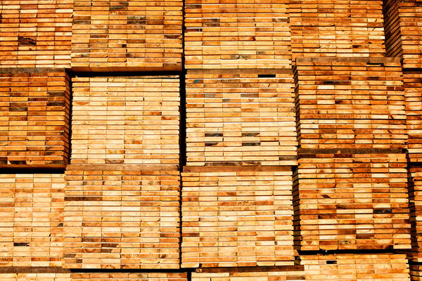 View of stacked lumber in mill yard showing ends of boards