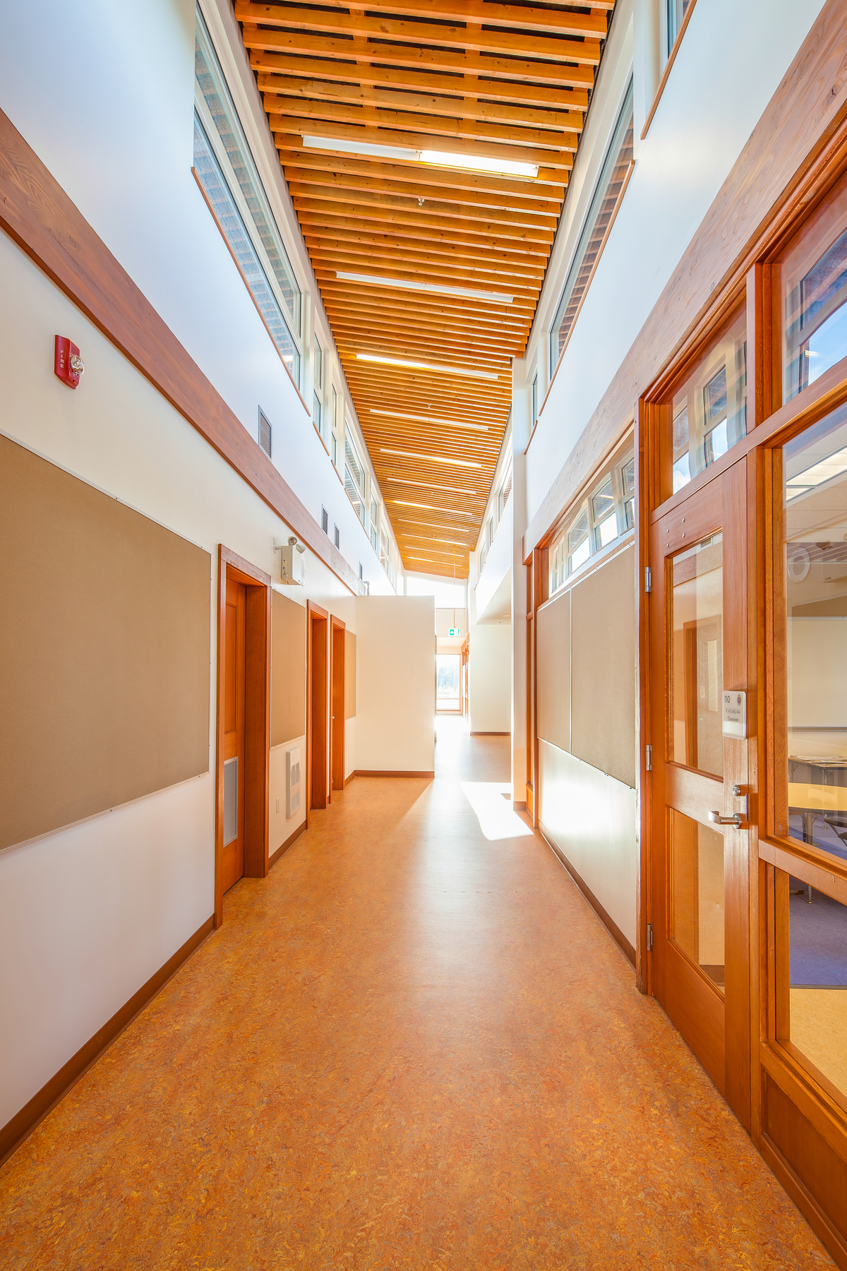 Sunny daytime interior view of Kwakiutl Wagalus School bright sunny main hallway showing extensive use wood, including western red cedar in posts, beams, and cladding, Douglas-fir for doors and windows, birch wood veneer finishes, and a wood flooring