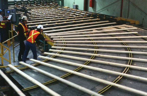 Interior daytime image of workers in PPE examining lumber as it passes by on curved conveyor system