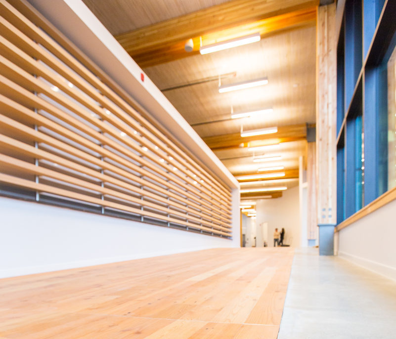 Mass timber used in MEC HQ, interior angle