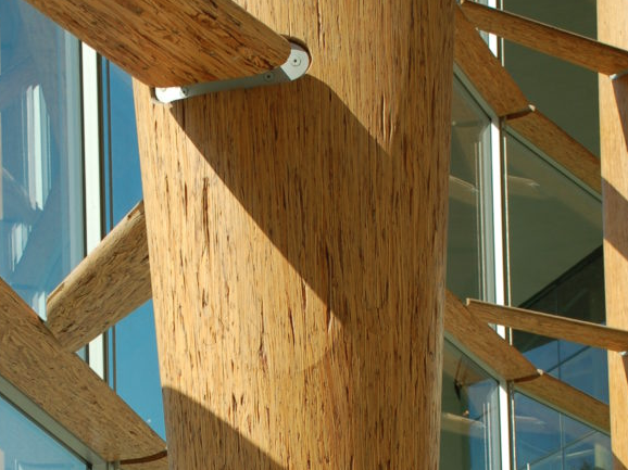 Interior daytime view showing closeup of parallel strand lumber (PSL) beams and columns, including steel brackets and glass