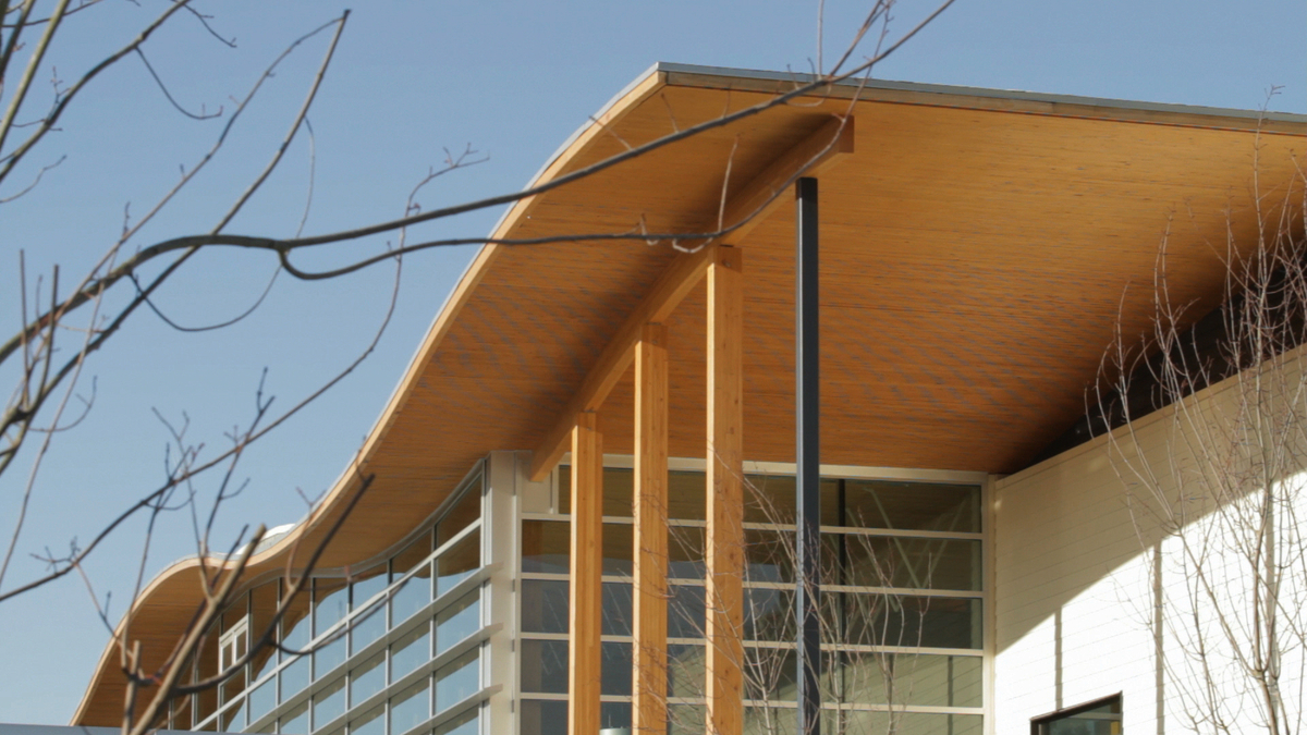 Exterior sunny daytime view of Samuel Brighouse Elementary School highlighting undulating nail-laminated timber (NLT) wood roof supported by post + beam columns
