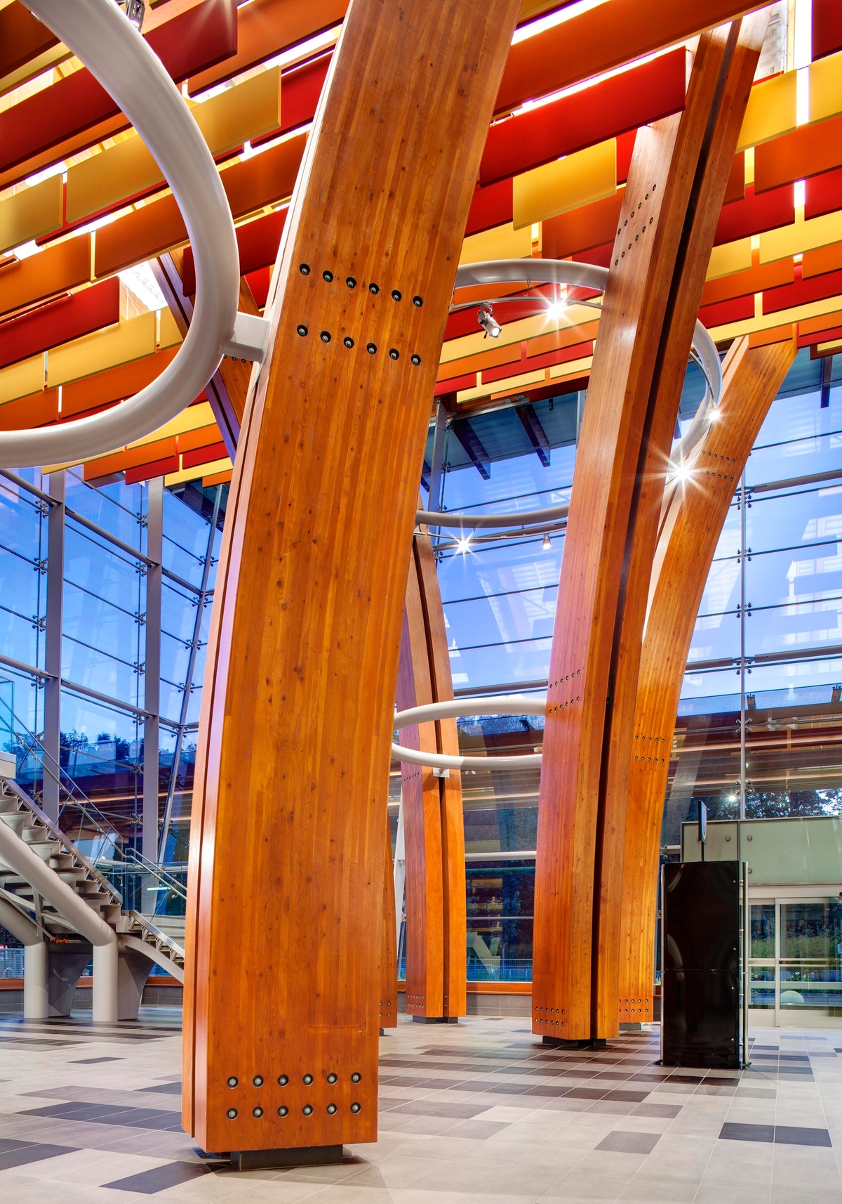 Massive curved glue-laminated timber (Glulam) columns are shown in this close up image of the Surrey Memorial Hospital Emergency Department + Critical Care Tower main atrium