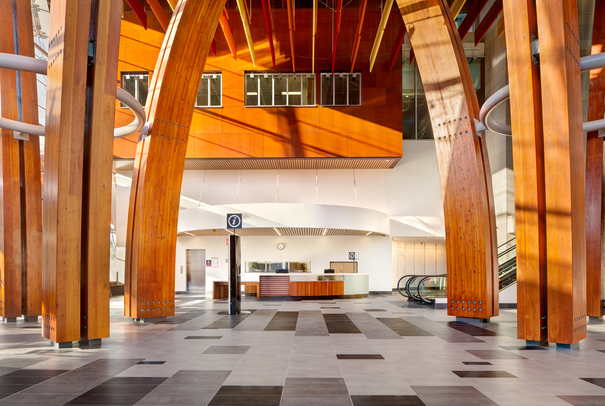 A virtual forest of massive curved glue-laminated timber (Glulam) columns are shown in this ground floor image of the multi storey Surrey Memorial Hospital Emergency Department + Critical Care Tower main atrium