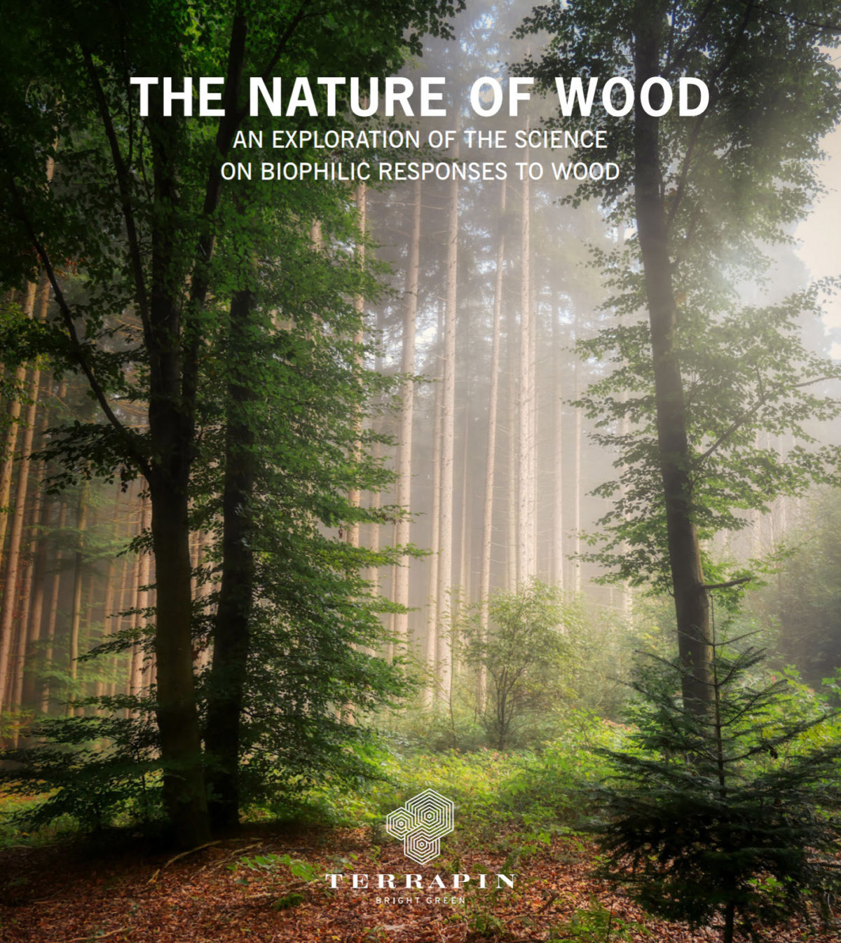 The Nature of Wood Terrapin Report