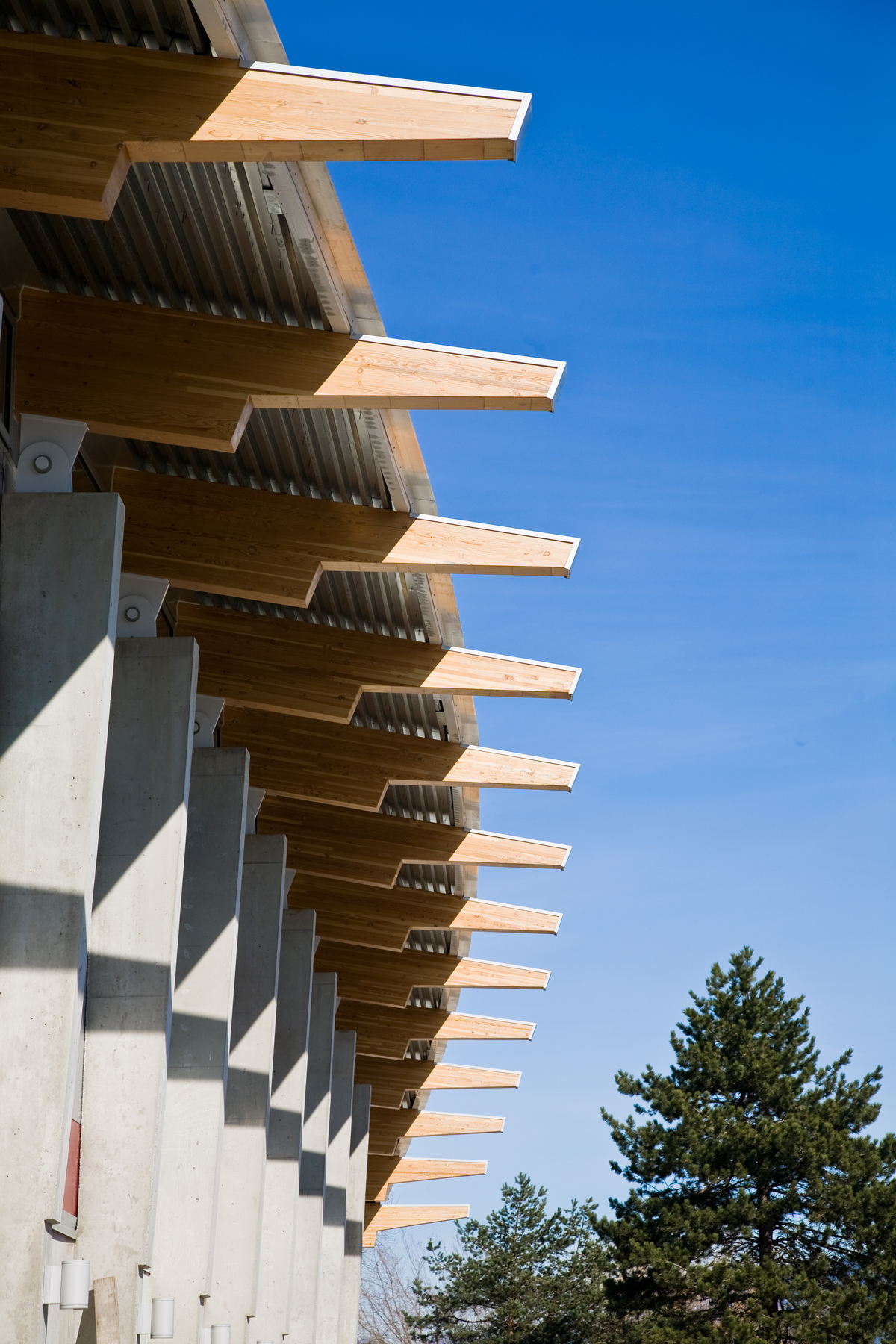 glue-laminated timber (Glulam) beams are shown supporting the arched roof of the hybrid low rise Trout Lake Ice Rink in this exterior daytime image