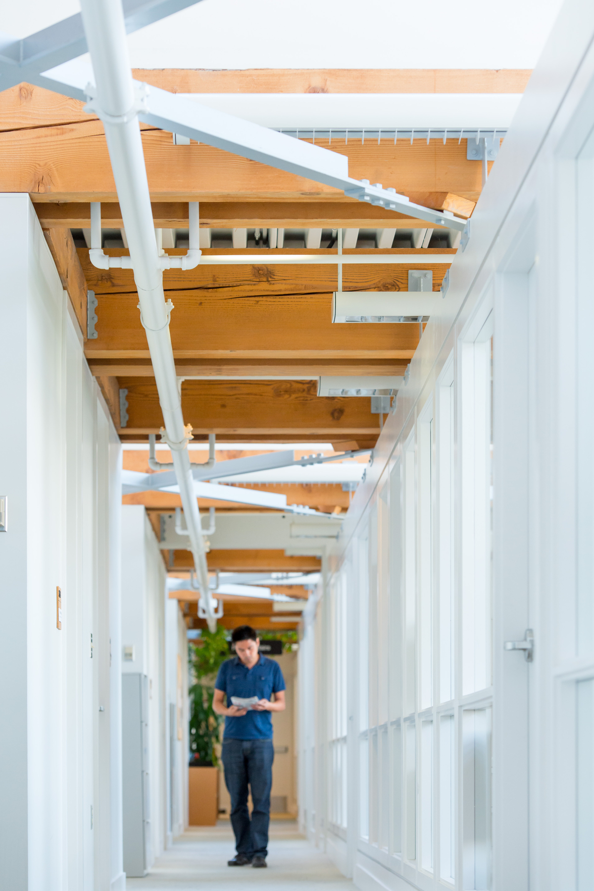 solid-sawn heavy timber beams and columns, with associated metal mating plates, and shown in this occupied main hallway image at the UBC CK Choi Building