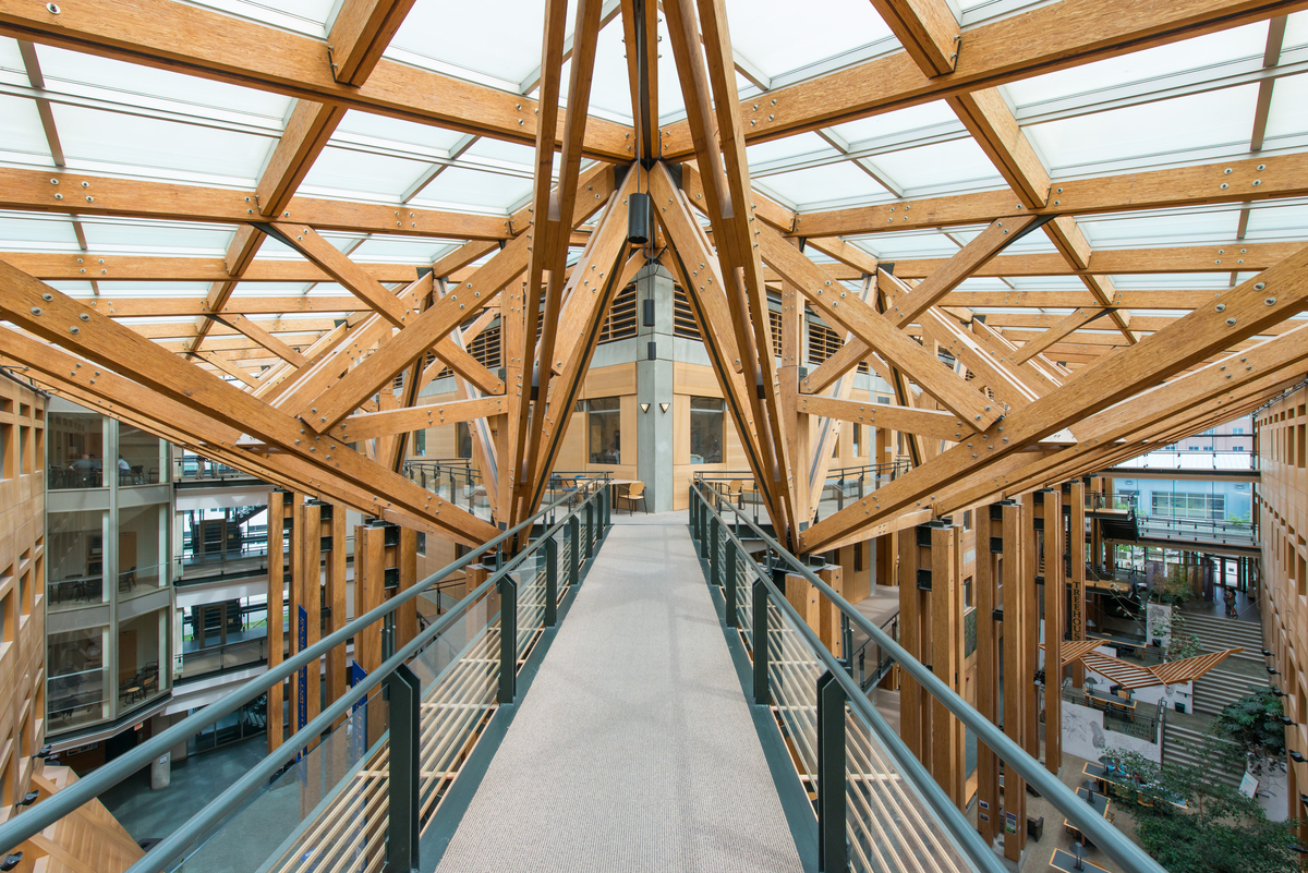 Interior daytime view looking down from walkway into multi-storey atrium of UBC Forest Sciences Centre with intricate umbrella support trusswork of mass timber and glass roof above