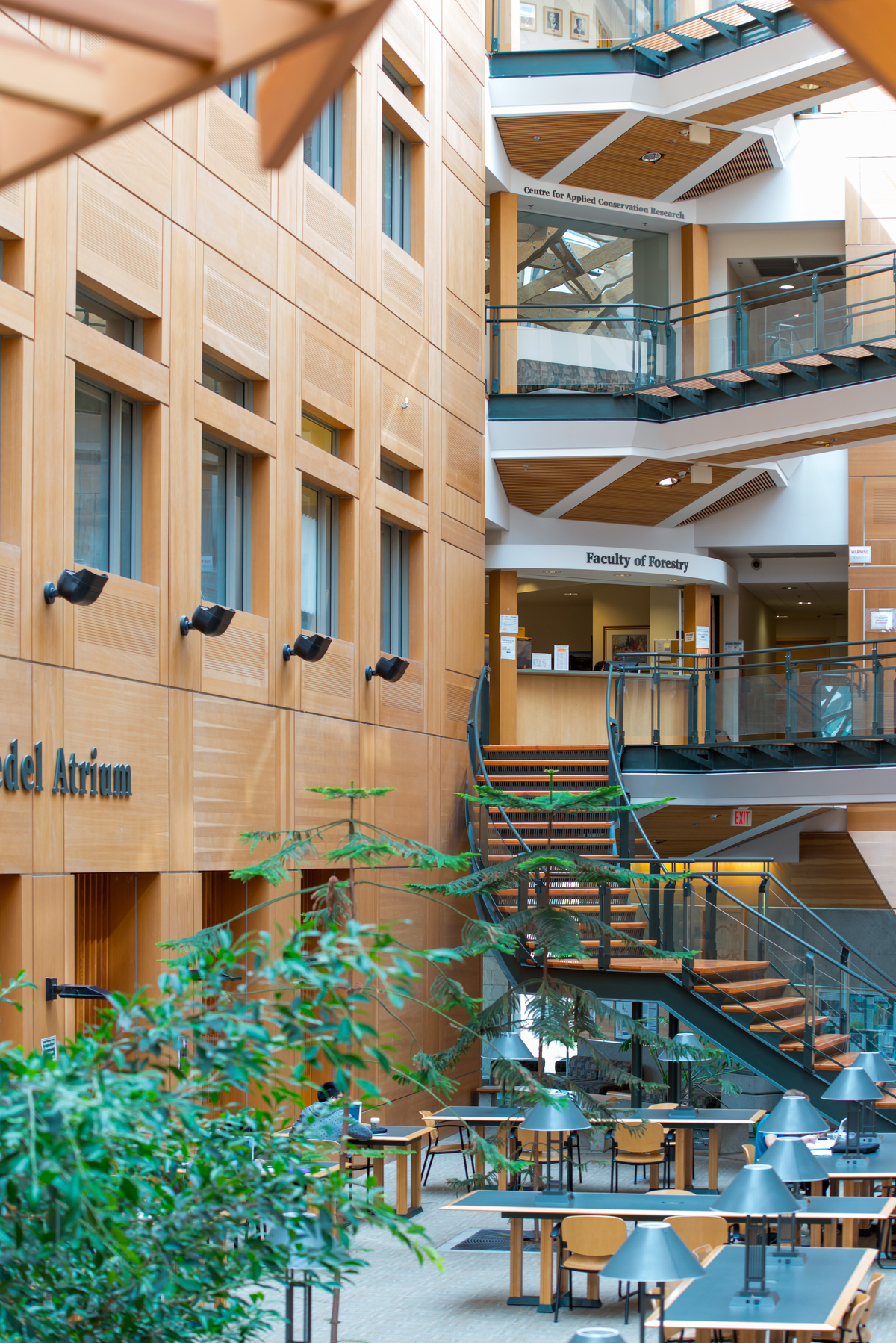 Multi storey mass timber and decorative lumber, including: wall panels, stair treads, parallel strand lumber (PSL) columns, wood trim, and millwork are shown in this interior daytime image of the UBC Forest Sciences Centre main atrium