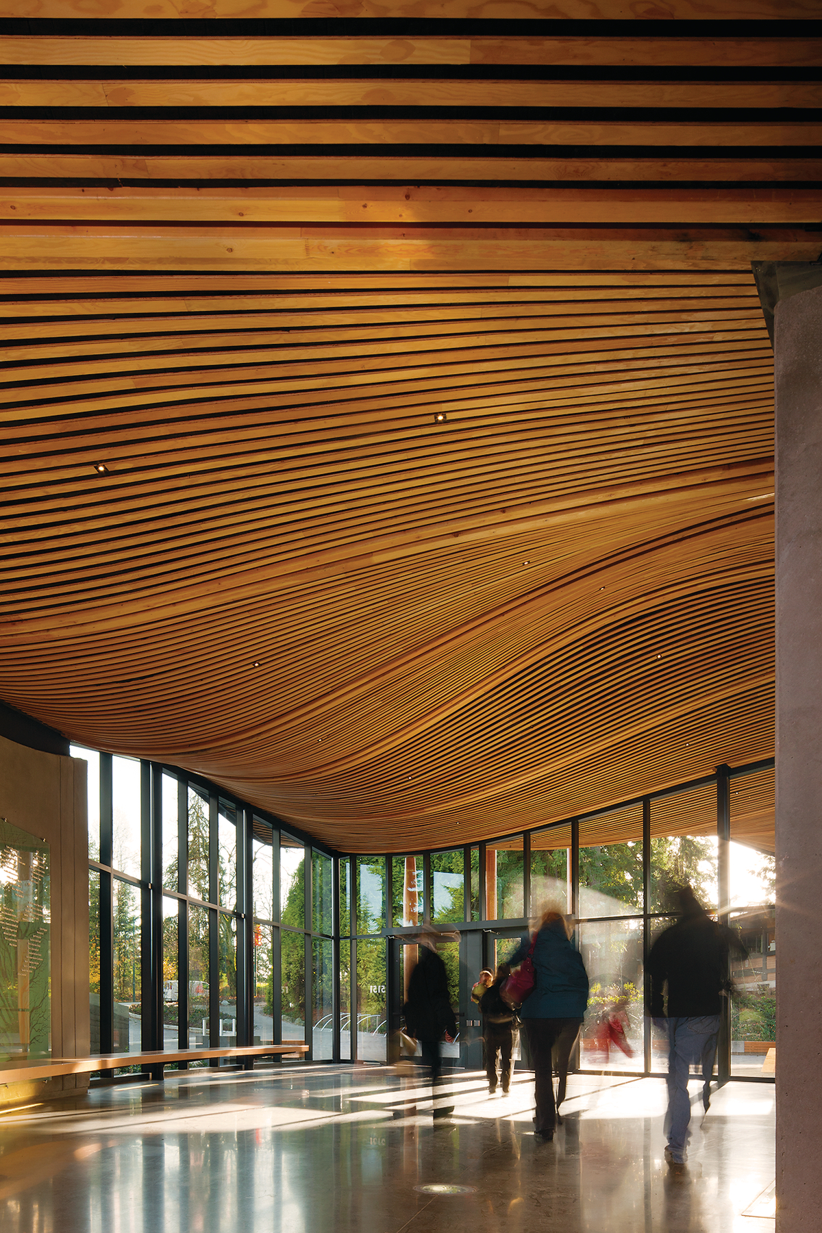 Internal daytime view of occupied VanDusen Botanical Garden Visitor Centre main entrance, complete with undulating roof made of dimensional lumber, exterior glazing, and wood benches