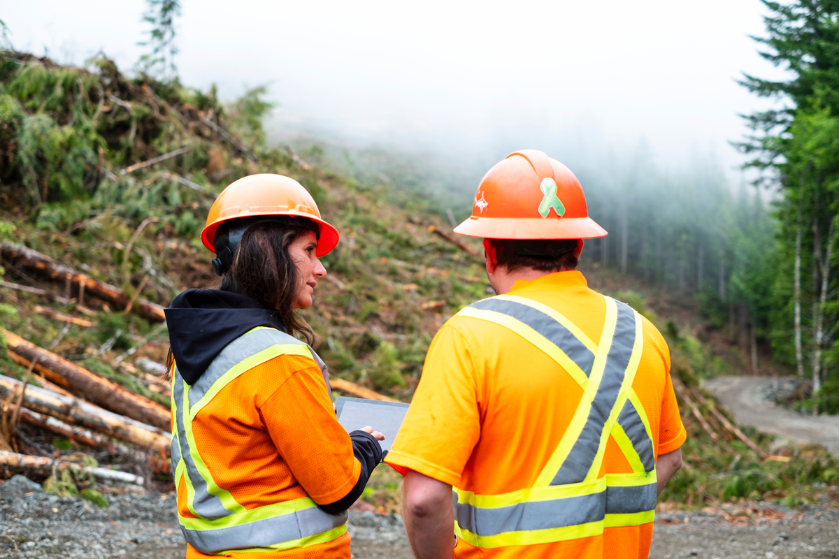 Pair of forest management workers wearing bright orange PPE consulting during Vancouver Island Logging at Honeymoon Bay