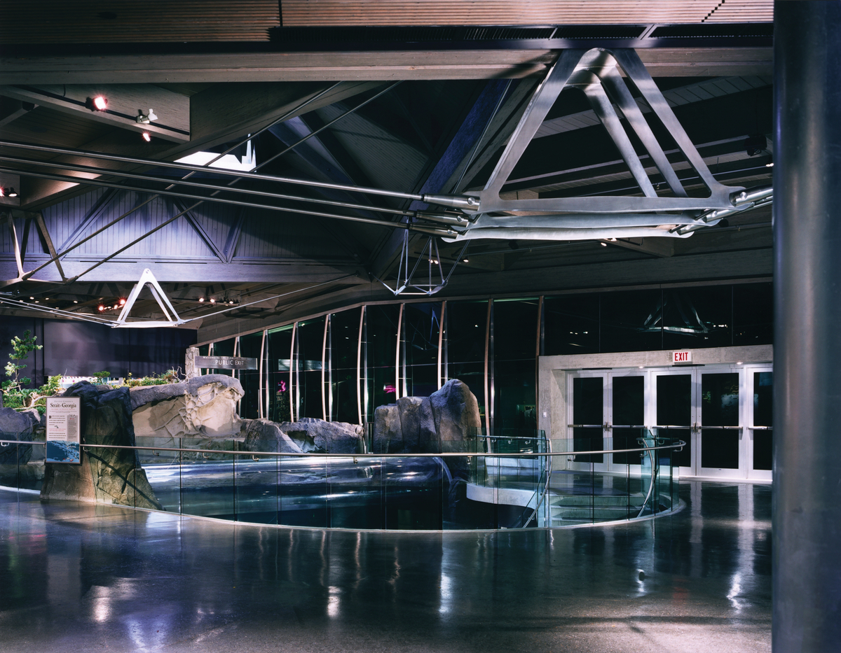 Interior night time view of Vancouver Aquarium Pacific Canada Pavilion showing parallel strand lumber (PSL) beams and steel rods and fittings that compose the roof structure