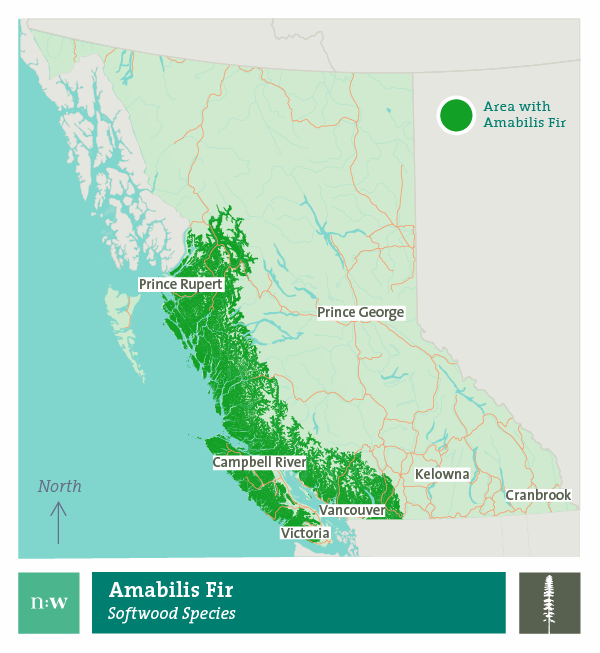 Amabilis fir species distribution map