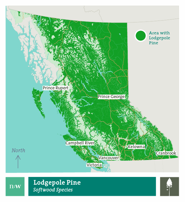 Lodgepole pine species distribution map