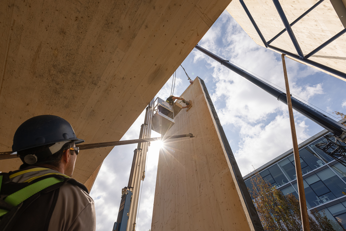 Construction worker looks up to a large vertical CLT panel hung from a crane, with sun rays shining from behind the panel.