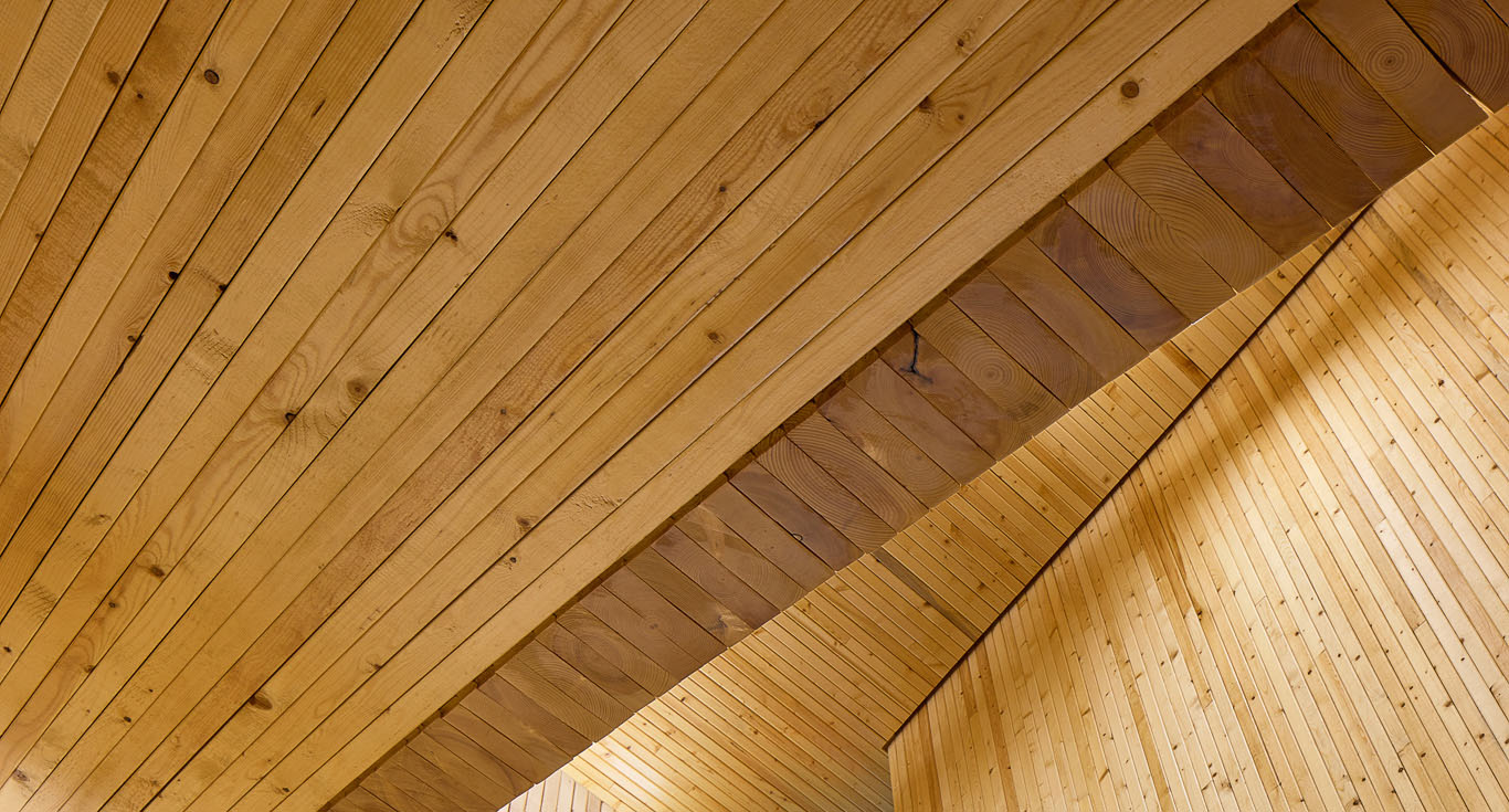 Interior shot displaying ample use of nail-laminated-timber in stairwell