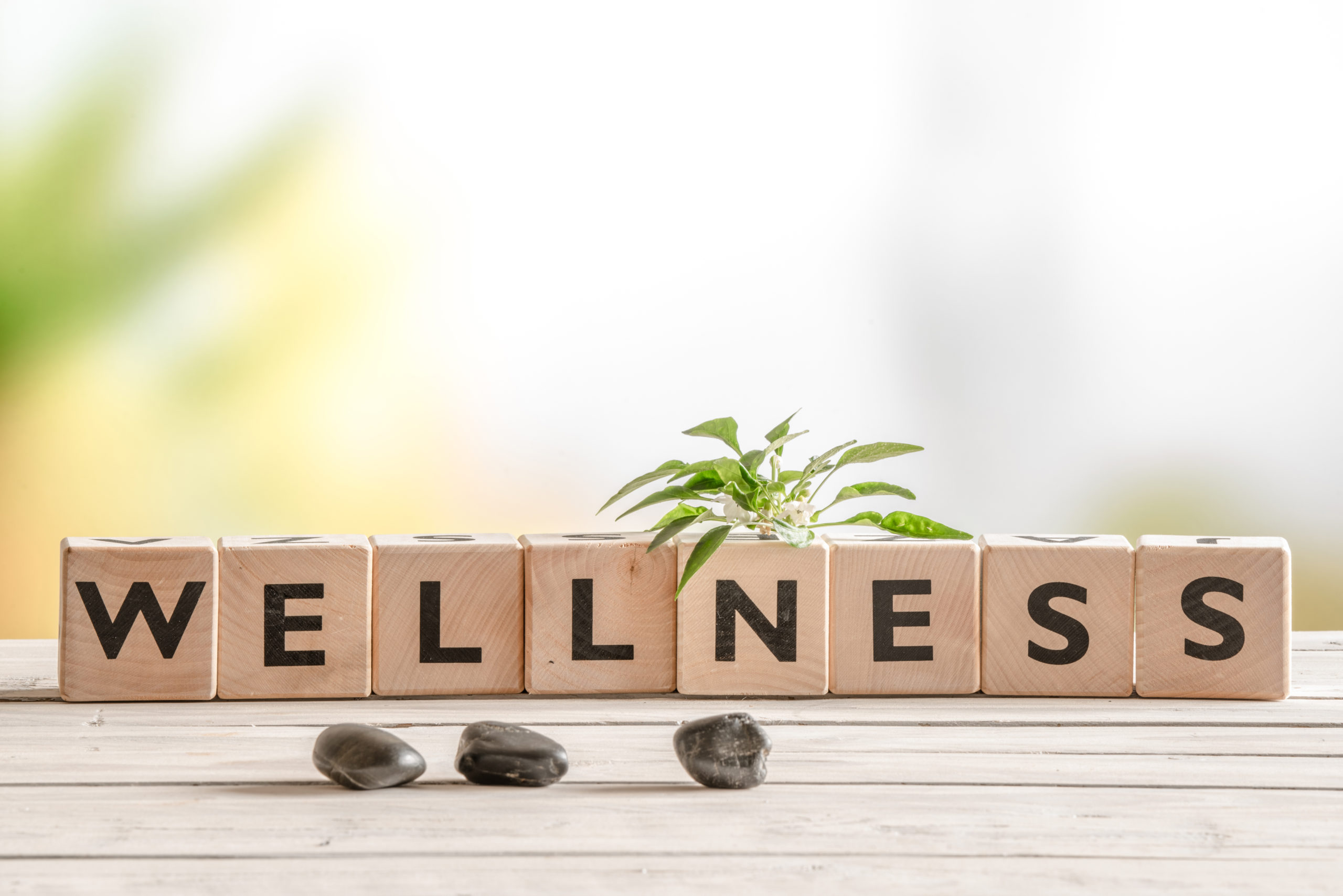 Wooden blocks lined up to spell WELLNESS in black text, three rocks and green foliage featured