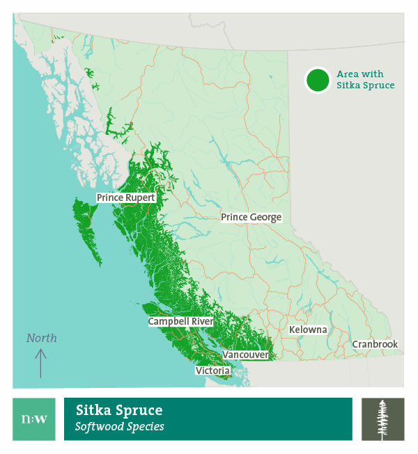 Sitka spruce species distribution map