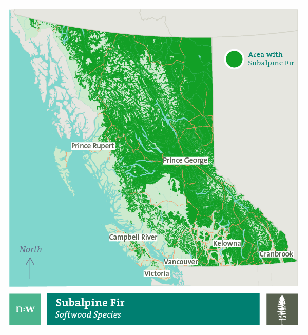 Subalpine fir species distribution map