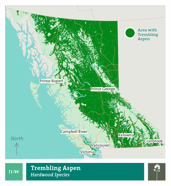 Trembling aspen species distribution map