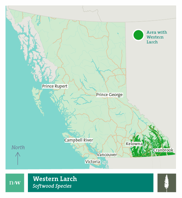 Western larch species distribution map