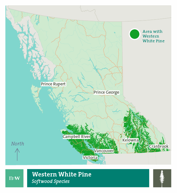 Western white pine species distribution map