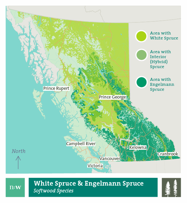 White spruce engelmann hybrid species distribution map