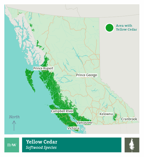 yellow cedar species map 600px credit naturallywood.com